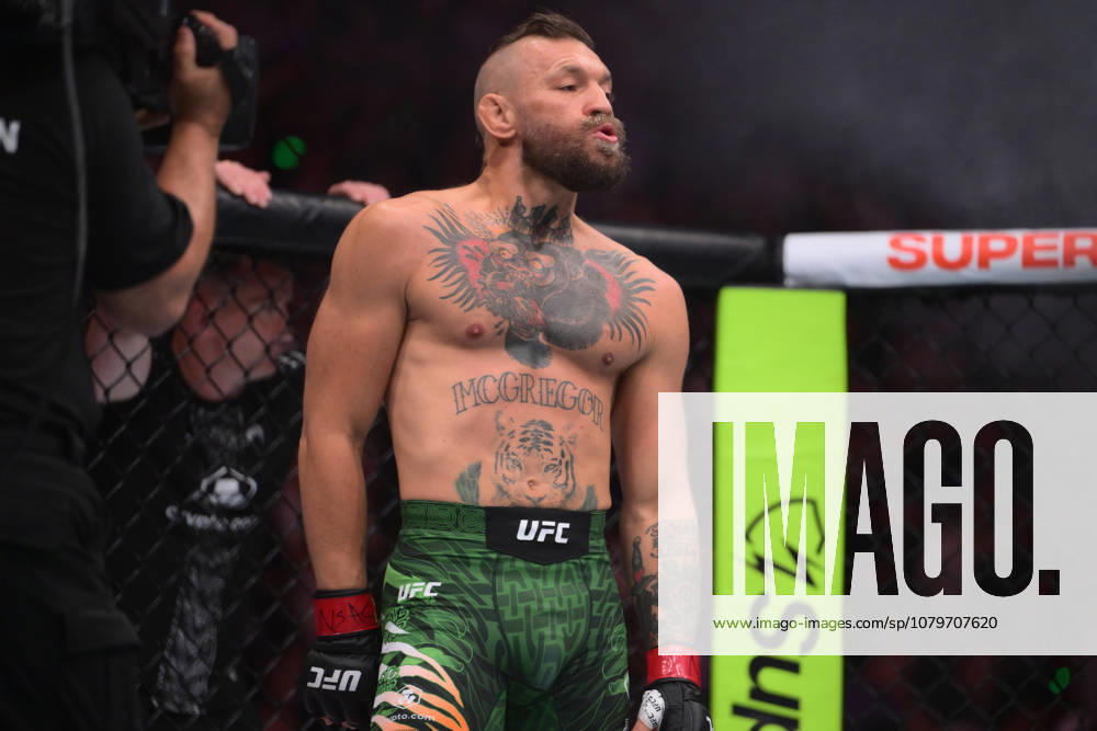 CONOR MCGREGOR poses before the fight start during UFC 329 at the T-Mobile Arena in Las Vegas. Las Vegas USA - ZUMAo117 20260711_zsp_o117_082