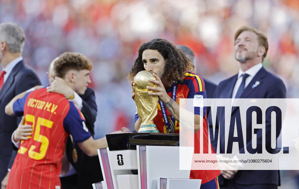 FIFA regulations prohibit any use of photographs as image sequences and or quasi-video.