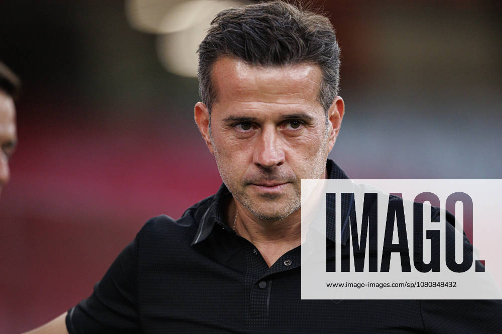 Marco Silva seen during Liga Portugal game between teams of SL Benfica and Academico de Viseu FC (Maciej Rogowski Ball Raw Images PT) Lisbon Estadio Da Luz Portugal