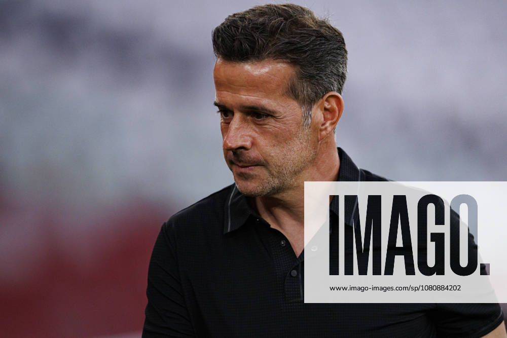 Marco Silva seen during Liga Portugal game between teams of SL Benfica and Academico de Viseu FC (Maciej Rogowski Ball Raw Images PT) Lisbon Estadio Da Luz Portugal