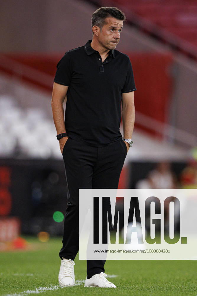 Marco Silva seen during Liga Portugal game between teams of SL Benfica and Academico de Viseu FC (Maciej Rogowski Ball Raw Images PT) Lisbon Estadio Da Luz Portugal