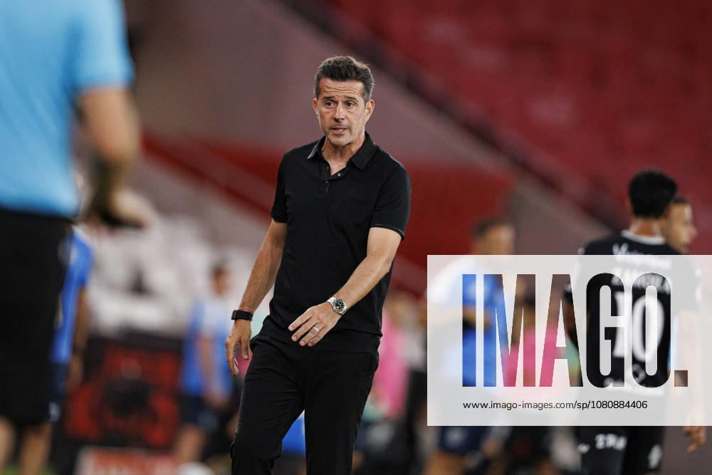 Marco Silva seen during Liga Portugal game between teams of SL Benfica and Academico de Viseu FC (Maciej Rogowski Ball Raw Images PT) Lisbon Estadio Da Luz Portugal