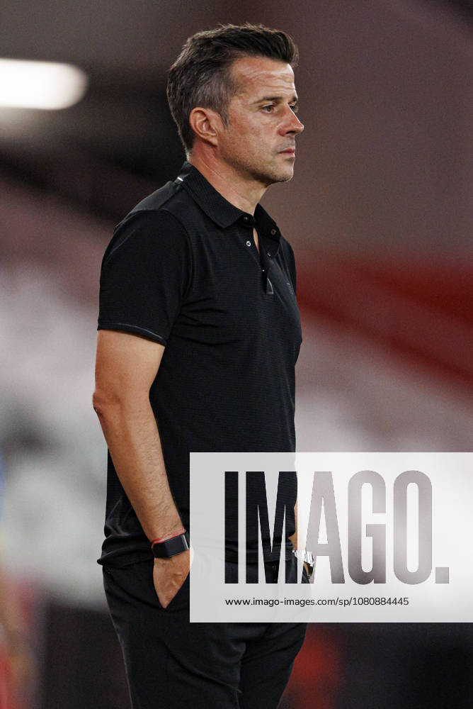 Marco Silva seen during Liga Portugal game between teams of SL Benfica and Academico de Viseu FC (Maciej Rogowski Ball Raw Images PT) Lisbon Estadio Da Luz Portugal
