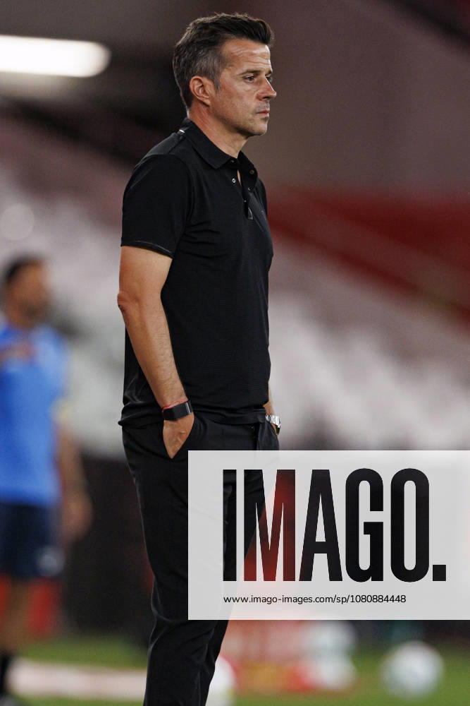 Marco Silva seen during Liga Portugal game between teams of SL Benfica and Academico de Viseu FC (Maciej Rogowski Ball Raw Images PT) Lisbon Estadio Da Luz Portugal