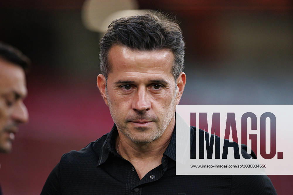 Marco Silva seen during Liga Portugal game between teams of SL Benfica and Academico de Viseu FC (Maciej Rogowski Ball Raw Images PT) Lisbon Estadio Da Luz Portugal