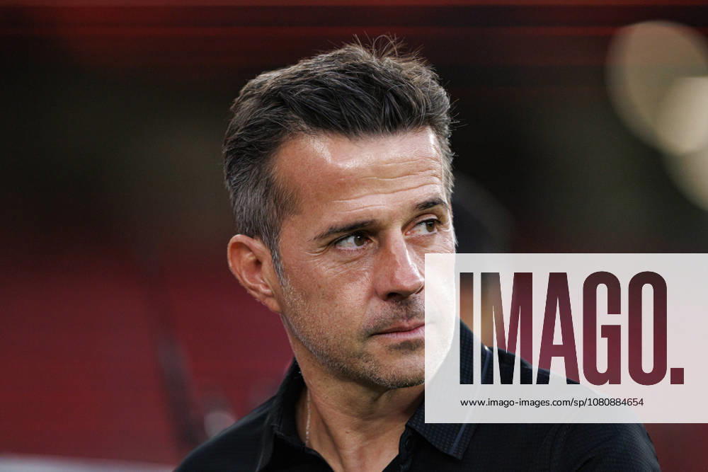 Marco Silva seen during Liga Portugal game between teams of SL Benfica and Academico de Viseu FC (Maciej Rogowski Ball Raw Images PT) Lisbon Estadio Da Luz Portugal