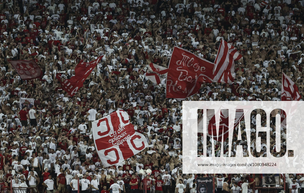 Crvena Zvezda v Hapoel Beer Sheva - UEFA Chmpions League Qualifiers Fans of Crvena Zvezda Delije show their support during the UEFA Champions League 2026 27 League Third qualifying round 2nd leg match between FK Crvena Zvezda and Hapoel Beer Sheva at Stadium Rajko Mitic on August 11, 2026 in Belgrade, Serbia. Belgrade Serbia