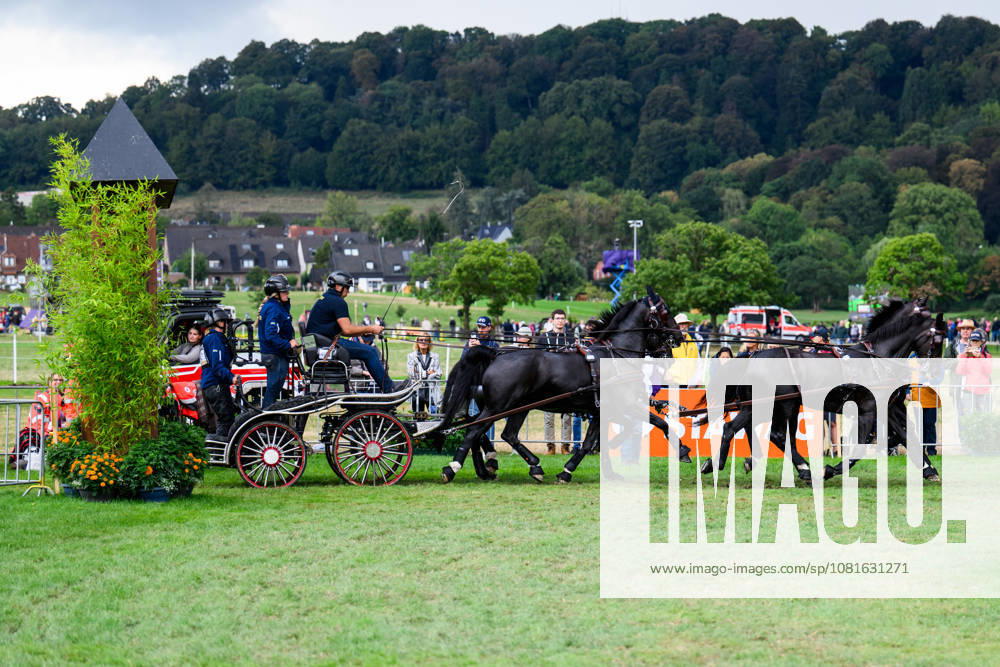 Fredrik Persson of Sweden, with his horses Fasco, Hertog Jan, Judson, and Kermit, competes in the Four-in-Hand Marathon on Day 12 of the 2026 FEI World Championships on August 22, 2026 in Aachen. Photo by Emma Wallskog. BILDBYRAN code EW EW0697 equestrian sports 2026 World Championships 2026 FEI World Championships bbeng equestrian sports World Championships four-in-hand driving