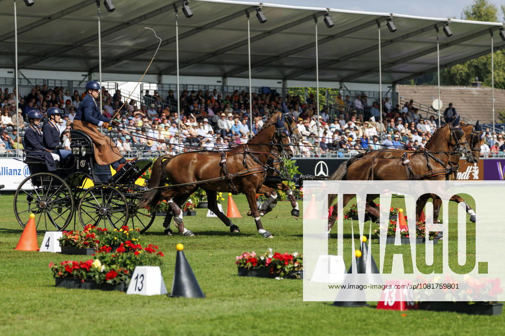 AACHEN FEI World Championships 2026, AACHEN FEI World Championships 2026 NAPROUS Daniel GBR, Ippon, Jack, Lord P C, Lyzander V, Onno (Star Wars stuntman), The Da Vinci Code, Game of Thrones, and more FEI Driving World Championships: Four-in-Hand, Team, Individual, and Cones Competition, Aachen, Soers Equestrian Stadium