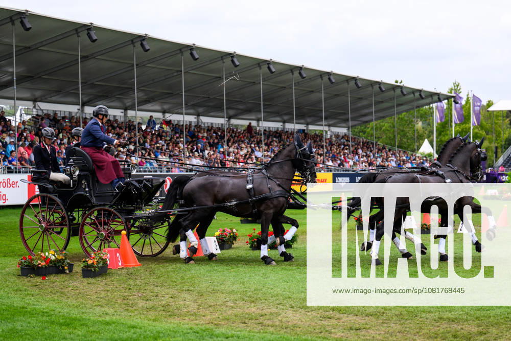 Fredrik Persson of Sweden, with his horses Fasco, Kaptain, Judson, and Kermit, competes in the Four-in-Hand cones on Day 13 of the 2026 FEI World Championships on August 23, 2026 in Aachen. Photo by Emma Wallskog. BILDBYRAN code EW EW0700: four-in-hand, driving, cones, precision