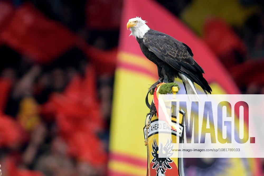 2026-08-23 Go Ahead Eagles v ADO Den Haag - VriendenLoterij Eredivisie DEVENTER, NETHERLANDS - AUGUST 23: harly during the VriendenLoterij Eredivisie match between Go Ahead Eagles and ADO Den Haag at De Adelaarshorst on August 23, 2026 in Deventer, Netherlands. Deventer De Adelaarshorst Netherlands Content not available for redistribution in The Netherlands directly or indirectly through any third parties.