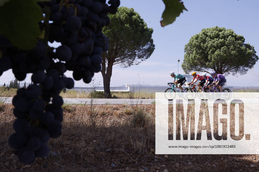 Some riders compete in the third stage of La Vuelta a Espana cycling tour, over 166,7 km from Gruissan to Font- Romeu (both in France). La Vuelta a Espana cycling tour - Stage 3 !ACHTUNG: NUR REDAKTIONELLE NUTZUNG!