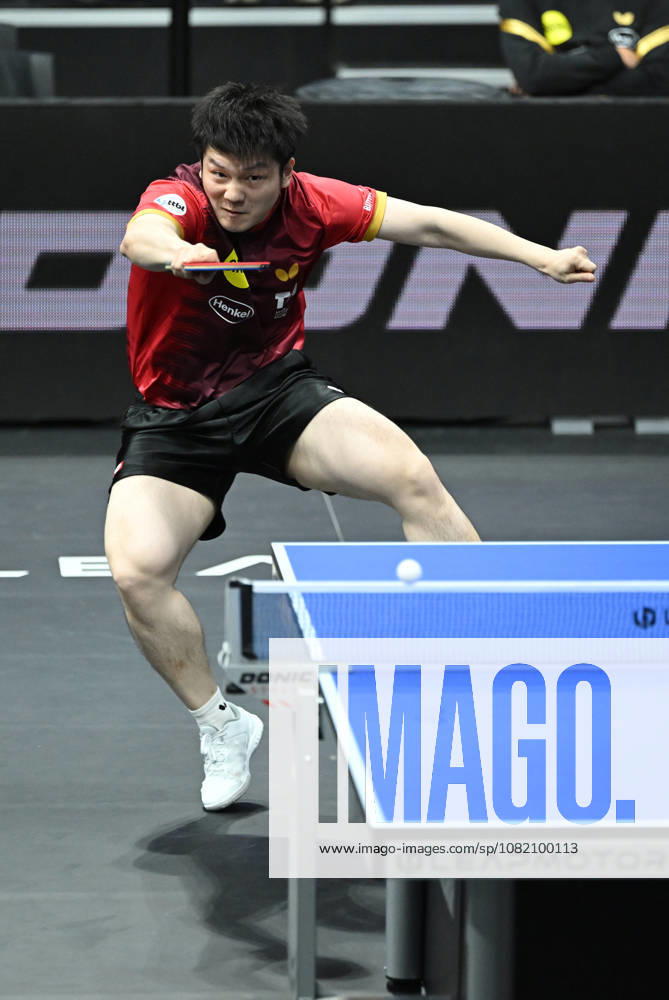 German Table Tennis Cup Grand Opening with Fan Zhendong of Borussia Düsseldorf (photo ms0652) NUREMBERG, GERMANY AUGUST 29, 2026 Fan Zhendong of Borussia Düsseldorf (photo ms0652) in action at the Table Tennis Bundesliga Cup Grand Opening for the 2026–2027 season at the Kia Metropol Arena in Nuremberg, Nuremberg, Kia Metropol Arena, Bavaria, Germany