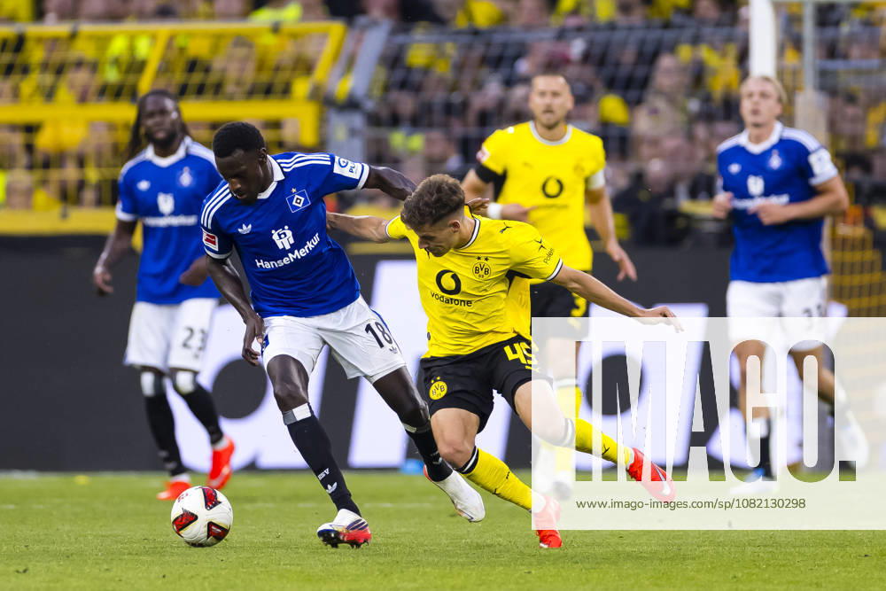 Soccer, Matchday 1 of the 1st Bundesliga, Borussia Dortmund vs. Hamburger SV, Bakery Jatta (Hamburger SV), Giannis Konstantelias (Borussia Dortmund) gets injured in a tackle, Dortmund, Signal Iduna Park, North Rhine-Westphalia, Germany, xRHR PHOTO DEx