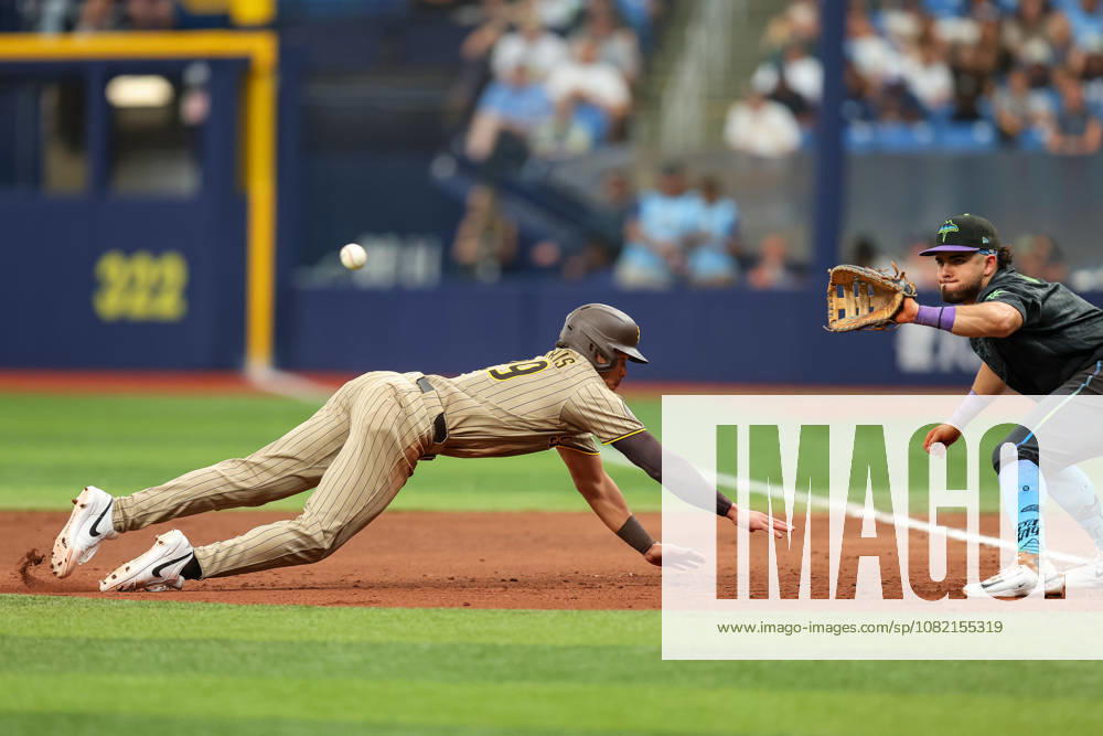 San Diego Padres left fielder DUSTIN HARRIS (29) slides back to first base during a pick off attempt by the Tampa Bay Rays. The Tampa Bay Rays hosted the San Diego Padres at Tropicana Field in St. Petersburg, FL. MLB, Baseball Herren, USA 2026: San Diego Padres 6:7 Tampa Bay Rays - ZUMAm299 20260829_znp_m299_049