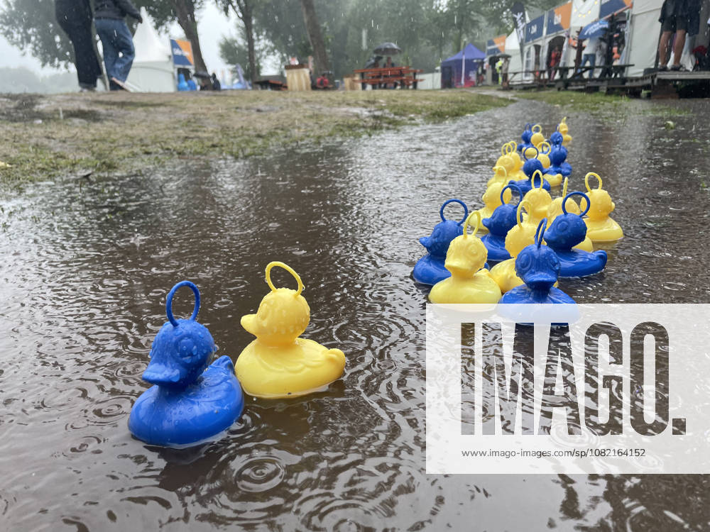Amsterdam The Netherlands 29th August 2026 2026 World Rowing Championships on the Bosbaan in Amsterdam Nice weather for ducks. Rain pours down in Amsterdam. On the terrain of the World Championships rowing ducks bob up and down in a puddle.