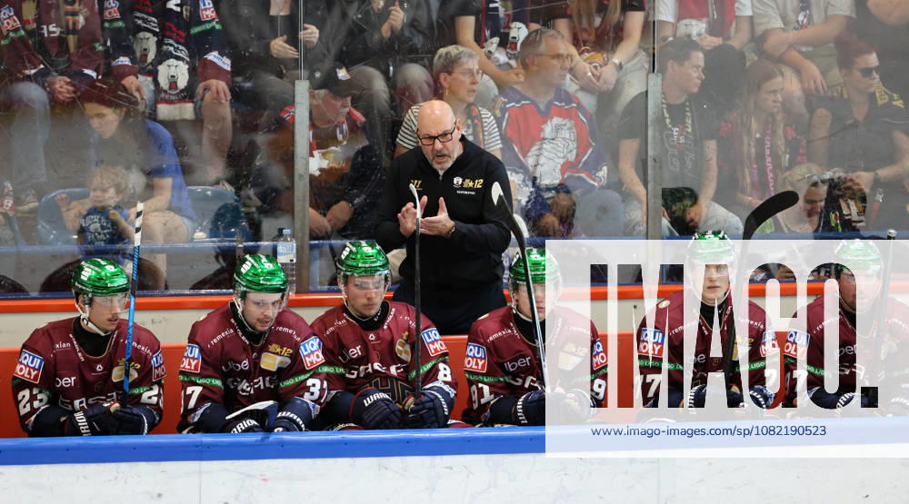 Coach Eric Dubois cheers on the team; in front of him are Rihards Griva, Markus Vikingstad, Noel Saffran, Eric Hördler, Gabriel Fontaine Action Upper Body Sports Ice Hockey Penny DEL German Ice Hockey League Exhibition Game 2026–2027 Season August 30, 2026 EHC Eisbären Berlin (EBB) vs. Lausitzer Füchse