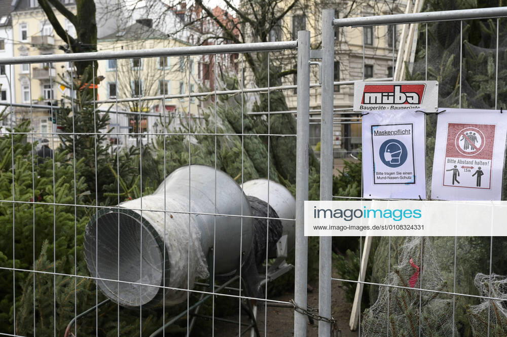 DEUTSCHLAND, Hamburg Ottensen, Corona Pandemie, Verkauf von Weihnachtsbäumen mit AHA Regeln Hamburg Deutschland