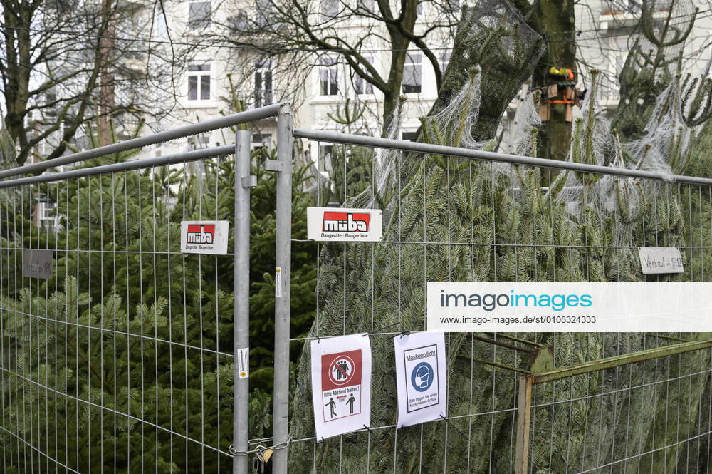 DEUTSCHLAND, Hamburg Ottensen, Corona Pandemie, Verkauf von Weihnachtsbäumen mit AHA Regeln Hamburg Deutschland