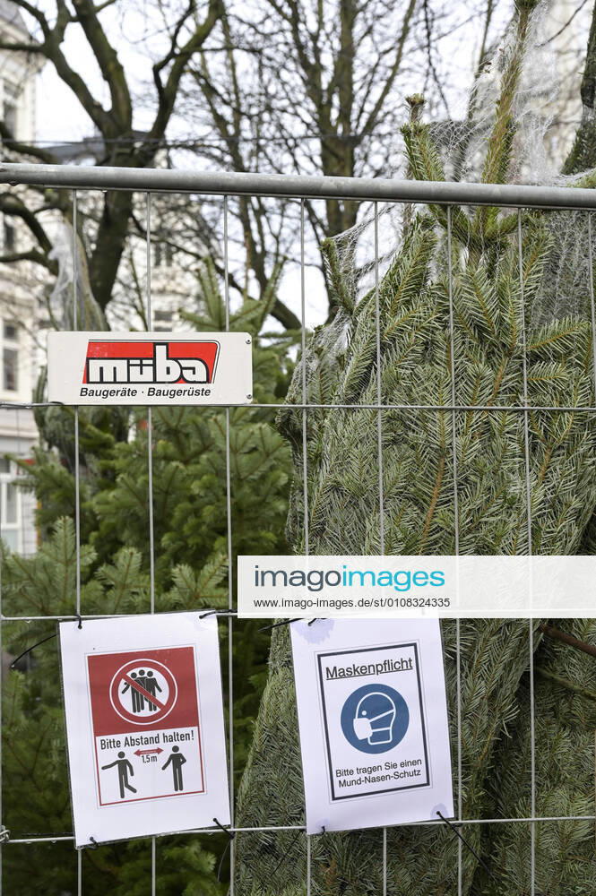 DEUTSCHLAND, Hamburg Ottensen, Corona Pandemie, Verkauf von Weihnachtsbäumen mit AHA Regeln Hamburg Deutschland