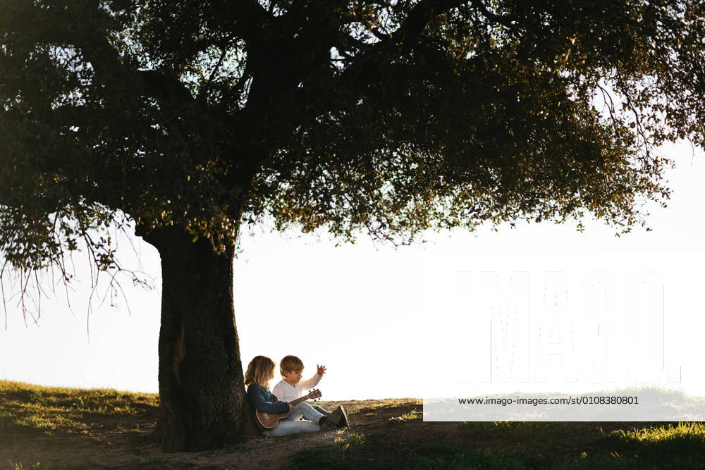 Side view of little girl with ukulele sitting with brother under big tree in field while resting together and talking in summer day