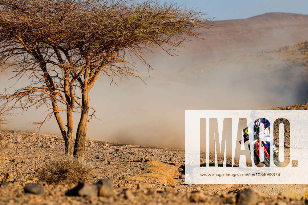 W2RC - RALLYE DU MAROC 2026 09 BRABEC Ricky (usa), Monster Energy Honda HRC, Honda CRF 450, FIM W2RC, Rally GP, action, during the Stage 5 of the Rallye du Maroc 2026, 4th round of the 2026 WR2C Championship from October 3, 2026 around Zagora, Morocco - AgadirMorocco