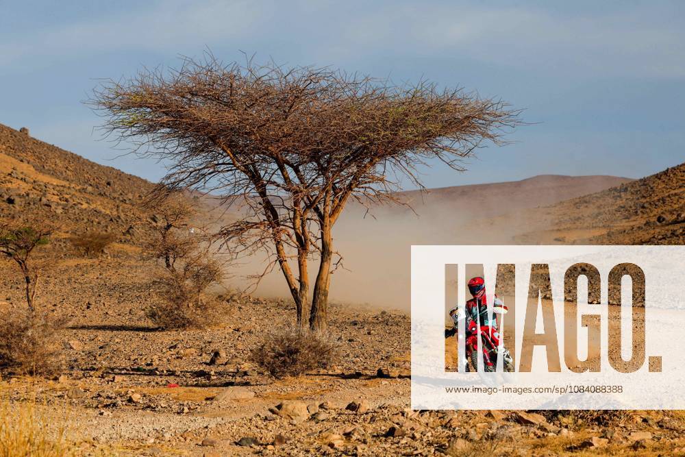 W2RC - RALLYE DU MAROC 2026 66 THERIC Neels (fra), Kove Factory Racing, Kove 450 Rally, FIM W2RC, Rally 2, action, during the Stage 5 of the Rallye du Maroc 2026, 4th round of the 2026 WR2C Championship from October 3, 2026 around Zagora, Morocco - AgadirMorocco