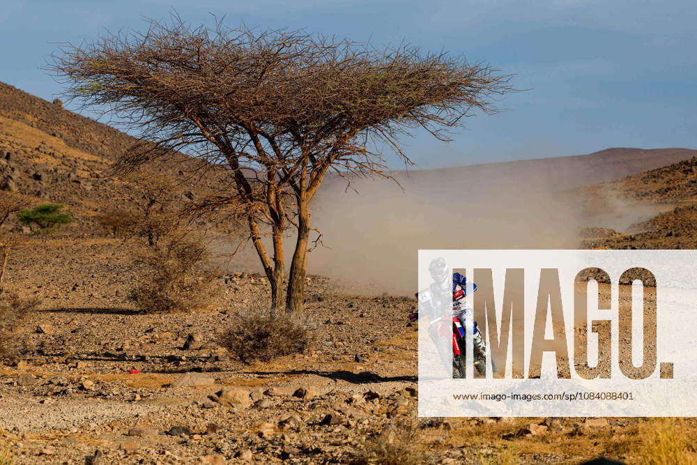 W2RC - RALLYE DU MAROC 2026 84 VENTURA Martim (por), Monster Energy Honda HRC, Honda CRF 450, FIM W2RC, Rally 2, action, during the Stage 5 of the Rallye du Maroc 2026, 4th round of the 2026 WR2C Championship from October 3, 2026 around Zagora, Morocco - AgadirMorocco
