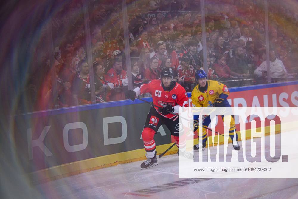 COLOGNE, GERMANY - 7 OCTOBER, 2026: - The Champions Hockey League match Koelner Haie vs. Herning Blue Fox at LANXESS arena.