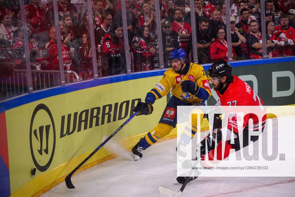 COLOGNE, GERMANY - 7 OCTOBER, 2026: - The Champions Hockey League match Koelner Haie vs. Herning Blue Fox at LANXESS arena.