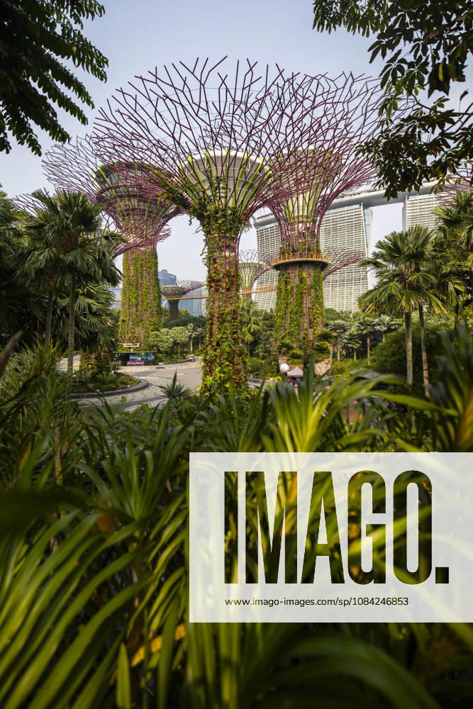 F1 - SINGAPORE GRAND PRIX 2026 Gardens by the Bay, ambiance during the 2026 Formula 1 Singapore Grand Prix, 17th round of the 2026 Formula One World Championship, WM, Weltmeisterschaft from October 9 to 11, 2026 on the Marina Bay Street Circuit, in Singapore, Singapore - SingaporeSingapore