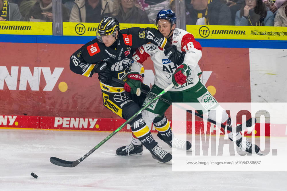 Face-off between Philip Gogulla of the Krefeld Pinguine (No. 87) and Cameron Wright of the Augsburger Panther (No. 16); Krefeld Pinguine vs. Augsburger Panther, ice hockey, Penny DEL, Matchday 8, 2026–2027 season, October 11, 2026, Krefeld Pinguine vs. Augsburger Panther, Ice Hockey, Penny DEL, Matchday 8, 2026–2027 Season, October 11, 2026, Krefeld