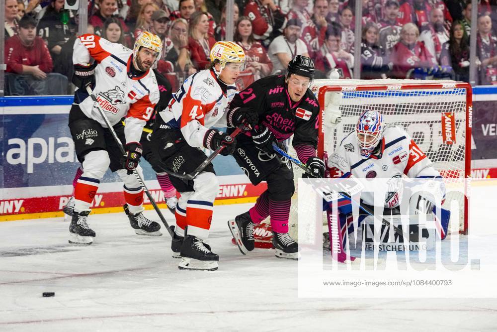 Ice Hockey: Penny DEL, Matchday 8—Cologne Sharks vs. Nuremberg Ice Tigers on October 11, 2026, at the Lanxess Arena in Cologne. From left to right: Constantin Braun (Nuremberg), Owen Headrick (Nuremberg), Juhani Tyrväinen (Cologne), Niklas Treutle (Nuremberg). In accordance with the regulations of the DEL (German Ice Hockey League), the publication and further use of these images in electronic media and on devices of any kind during the game is not permitted.