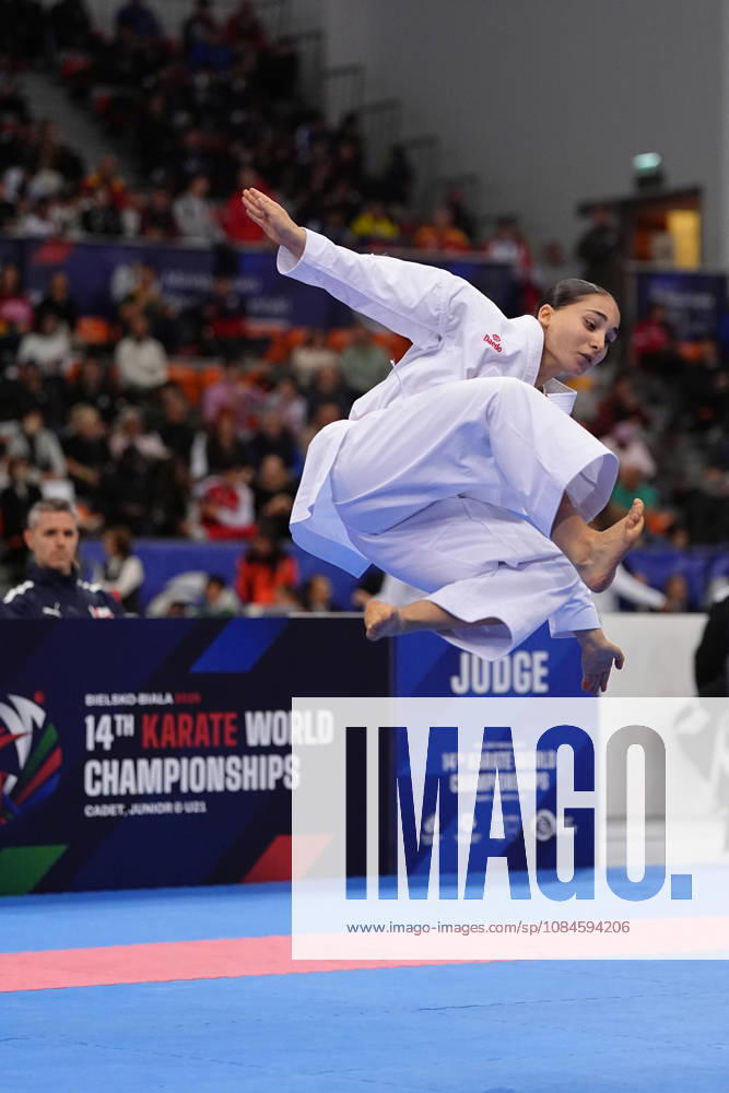 2026 World Cadet, Junior & U21, U 21 Karate Championships BIELSKO-BIALA, POLAND - OCTOBER 16: Anastasia Chaphidze of Georgia performs during cadet female individual kata at the 2026 World Cadet, Junior & U21 Karate Championships at Hala Pod Debowcem on October 16, 2026 in Bielsko-Biala, Poland. Bielsko-Biala Hala Pod Debowcem Poland