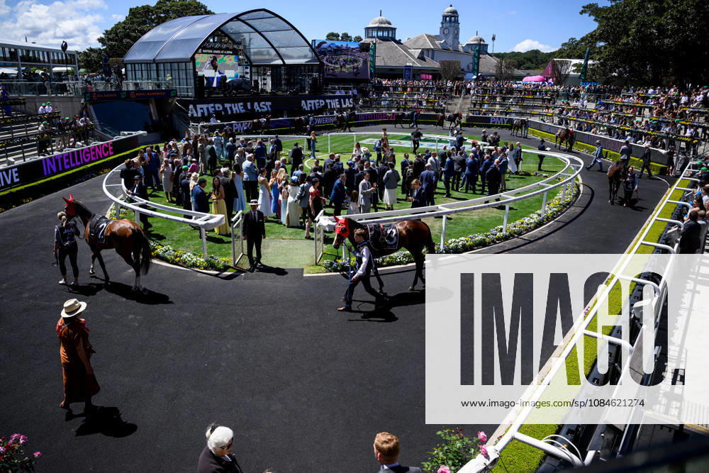 RACING THE EVEREST, Horses are paraded around the mounting yard prior to Race 3 during The Everest Day at Royal Randwick Racecourse in Sydney, Saturday, October 17, 2026. ( NO ARCHIVING, SYDNEY NEW SOUTH WALES Australia