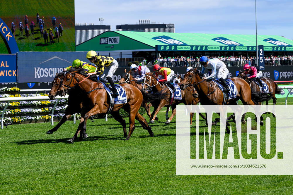 RACING THE EVEREST, Jockey Zac Lloyd rides Chains of Love to victory in Race 5, The Kosciuszko, during The Everest Day at Royal Randwick Racecourse in Sydney, Saturday, October 17, 2026. ( NO ARCHIVING, SYDNEY NEW SOUTH WALES Australia