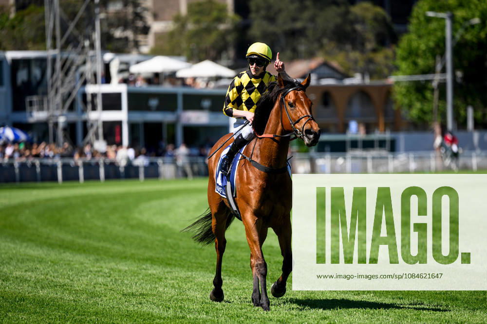 RACING THE EVEREST, Jockey Zac Lloyd returns to the mounting yard after riding Chains of Love to victory in Race 5, The Kosciuszko, during The Everest Day at Royal Randwick Racecourse in Sydney, Saturday, October 17, 2026. ( NO ARCHIVING, SYDNEY NEW SOUTH WALES Australia