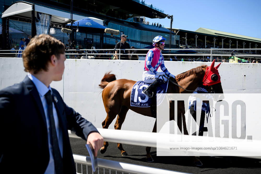 RACING THE EVEREST, Jockey Jamie Melham rides Rose Ayei into the mounting yard prior to Race 5 during The Everest Day at Royal Randwick Racecourse in Sydney, Saturday, October 17, 2026. ( NO ARCHIVING, SYDNEY NEW SOUTH WALES Australia