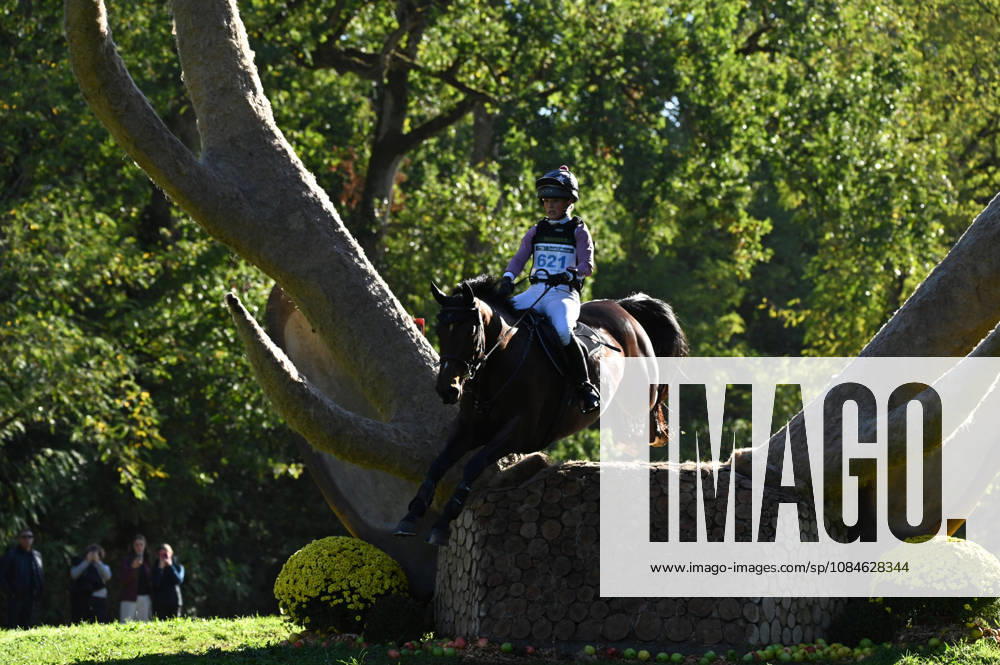 MONDIAL DU LION 2026 - CROSS COUNTRY LE LION-D ANGERS, FRANCE - OCTOBER 17, 2026 : Melissa Joannides riding Escape Artiste during the cross-country competition at the Mondial du Lion 2026, FEI WBFSH Eventing World Breeding Championship for Young Horses. Le Lion-d AngersFrance