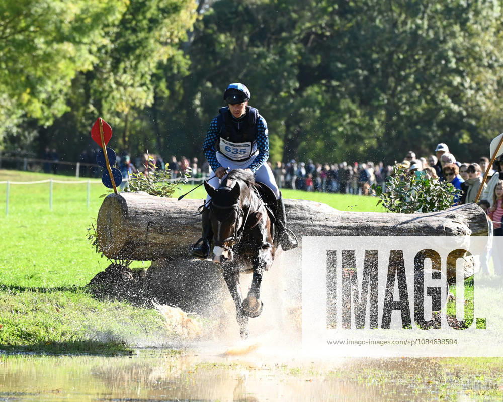 MONDIAL DU LION 2026 - CROSS COUNTRY LE LION-D ANGERS, FRANCE - OCTOBER 17, 2026 : Jordy Wilken riding Platina Spirit during the cross-country competition at the Mondial du Lion 2026, FEI WBFSH Eventing World Breeding Championship for Young Horses. Le Lion-d AngersFrance