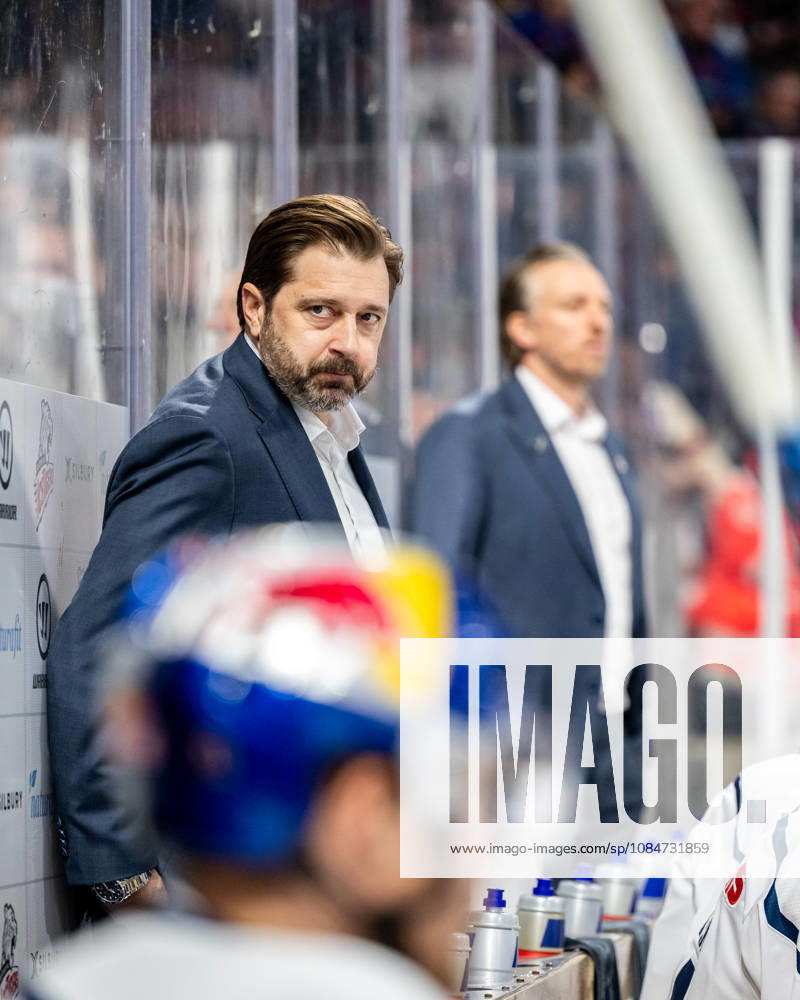 Ice Hockey Season 2026–2027 Penny DEL Nuremberg Ice Tigers Icetigers Red Bull Munich ThHa Oliver David Trainer, Coach, Head Coach, Red Bull Munich, RBM