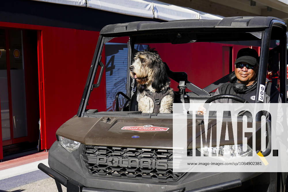 FORMULA 1 UNITED STATES GRAND PRIX 2026 A dog taking a ride as a passenger in the paddock during the Formula 1 MSC Cruises United States Grand Prix 2026, Round 18 of the 2026 Formula 1 World Championship, WM, Weltmeisterschaft from 23rd - 25th October 2026 at the Circuit of the Americas, Austin, United States. Credit: Robbie Hoad Every Second Media Editorial use only. All images are copyright Every Second Media Limited. No images may be reproduced without prior permission.
