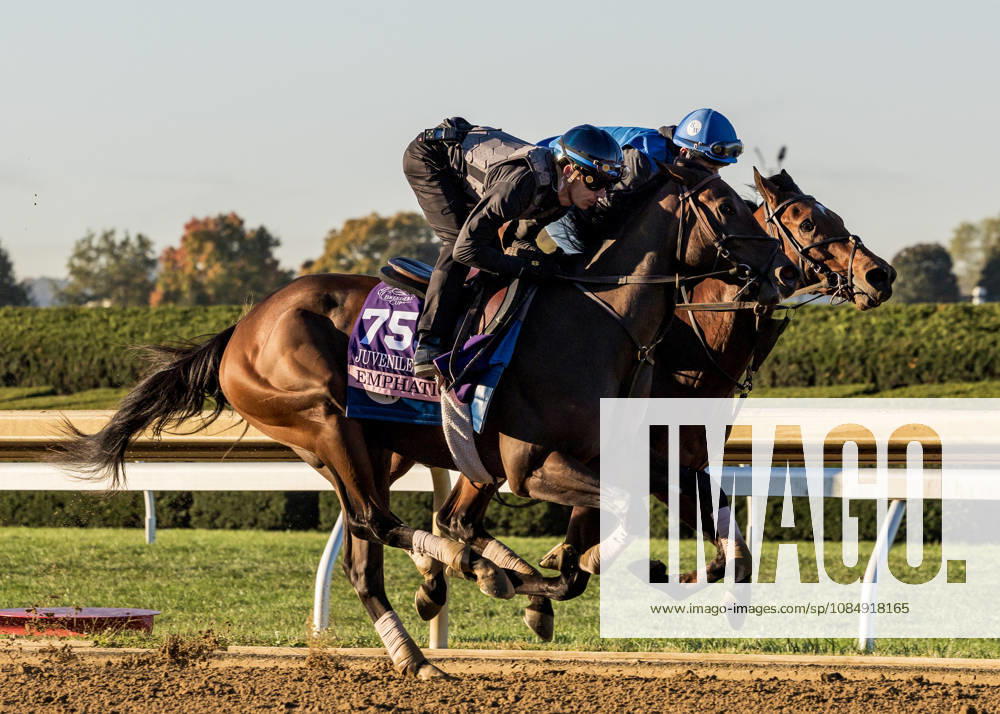 HORSE RACING 2026: Bank Of America Valley View S Day Keeneland OCT 23 October 23, 2026, Lexington, Ky, USA: Emphatic works in preparation for the Breeders Cup Juvenile FIllies during Bank of America Valley View S Day on October 23, 2026. Candice Chavez Eclipse Sportswire CSM(Credit Image: Â {Serial Cal Media) Lexington Ky USA