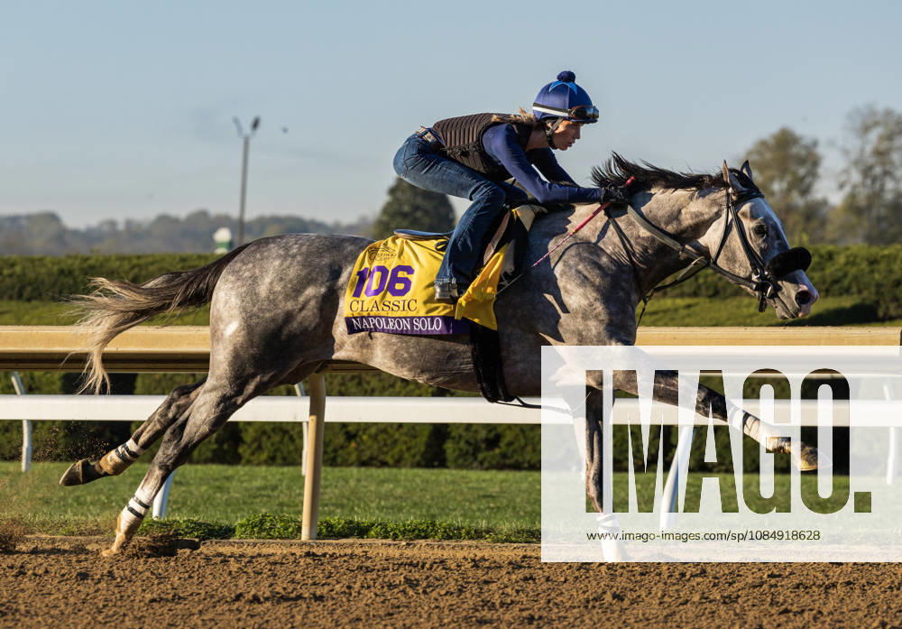 Napoleon Solo works in preparation for the Breeders Cup Classic during Bank of America Valley View S Day in Lexington, Kentucky. Horse Racing 2026: Keeneland Racecourse - ZUMAcs17 20261023_faf_cs17_008
