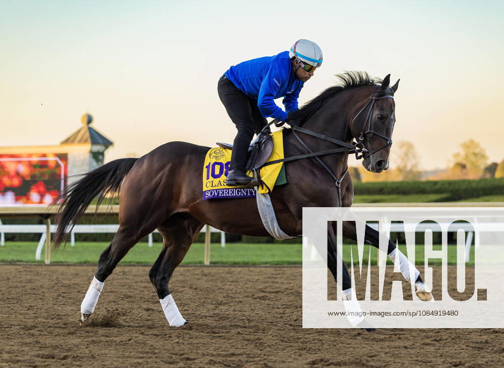 HORSE RACING 2026: Bank Of America Valley View S Day Keeneland OCT 23 October 23, 2026, Lexington, Ky, USA: Sovereignty exercises in preparation for the Breeders Cup Classic during Bank of America Valley View S Day on October 23, 2026. Candice Chavez Eclipse Sportswire CSM(Credit Image: Â {Serial Cal Media) Lexington Ky USA