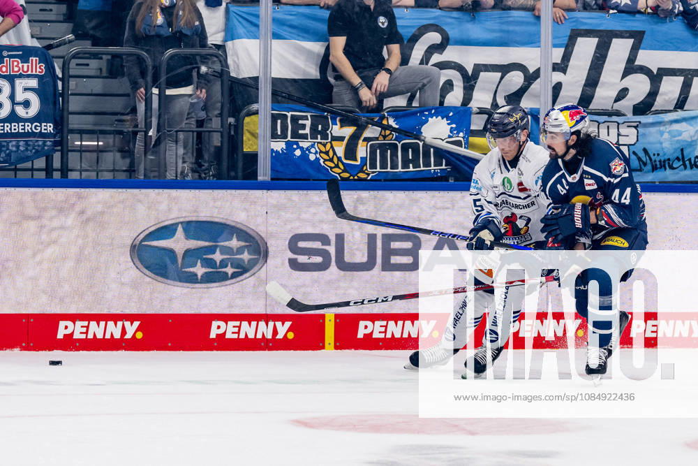 Battle for the Puck: Face-off between Joonas Naettinen of the Iserlohn Roosters (No. 15) and Trevor Carrick of EHC Red Bull Munich (No. 44, GER), EHC Red Bull Munich vs. Iserlohn Roosters, DEL, 2026–2027 season, Matchday 11, October 23, 2026. Photo: HMB Media, Franz Feiner