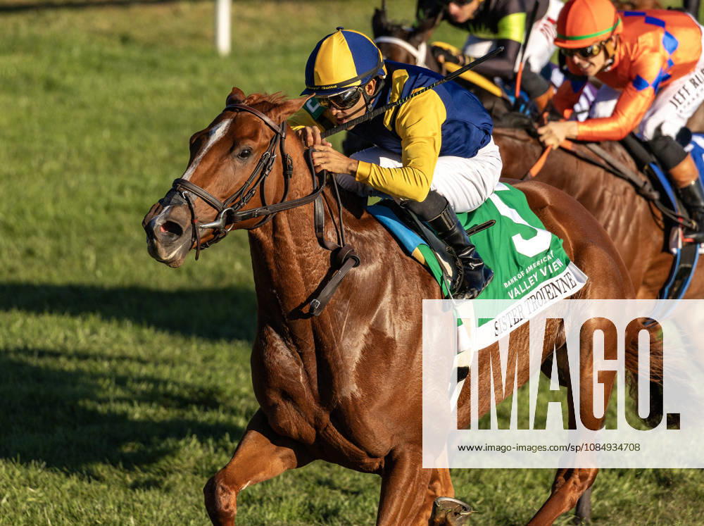 HORSE RACING 2026: Bank Of America Valley View S Day Keeneland OCT 23 October 23, 2026, Lexington, Ky, USA: Sister Troienne (5) ridden by Luis Saez wins the Bank of Americca Valley View Stakes during Bank of America Valley View S Day on October 23, 2026. Candice Chavez Eclipse Sportswire CSM(Credit Image: Â {Serial Cal Media) Lexington Ky USA