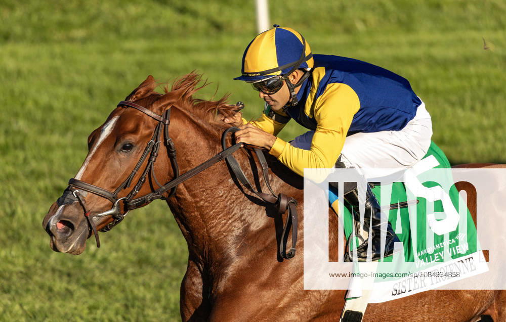 Sister Troienne (5) ridden by Luis Saez wins the Bank of Americca Valley View Stakes during Bank of America Valley View S Day on October 23, 2026. Candice Chavez Eclipse Sportswire CSM Lexington USA - ZUMAcs17 20261023_faf_cs17_033