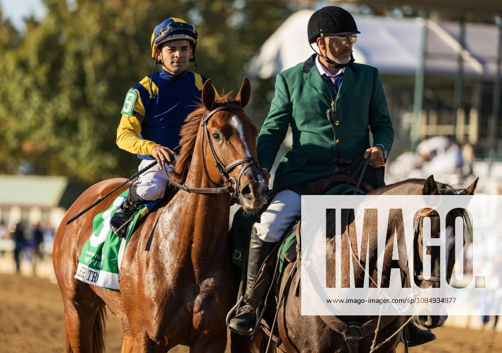 Sister Troienne (5) ridden by Luis Saez wins the Bank of Americca Valley View Stakes during Bank of America Valley View S Day on October 23, 2026. Candice Chavez Eclipse Sportswire CSM Lexington USA - ZUMAcs17 20261023_faf_cs17_036