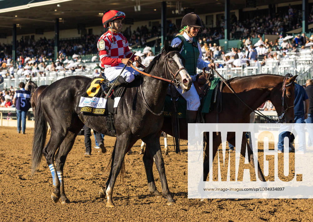 Stress Relief (6) ridden by Luis Saez wins the Dean Dorton Myrtlewood Stakes during Bank of America Valley View S Day on October 23, 2026. Candice Chavez Eclipse Sportswire CSM Lexington USA - ZUMAcs17 20261023_faf_cs17_039